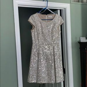 Calvin Klein dress. Size 10